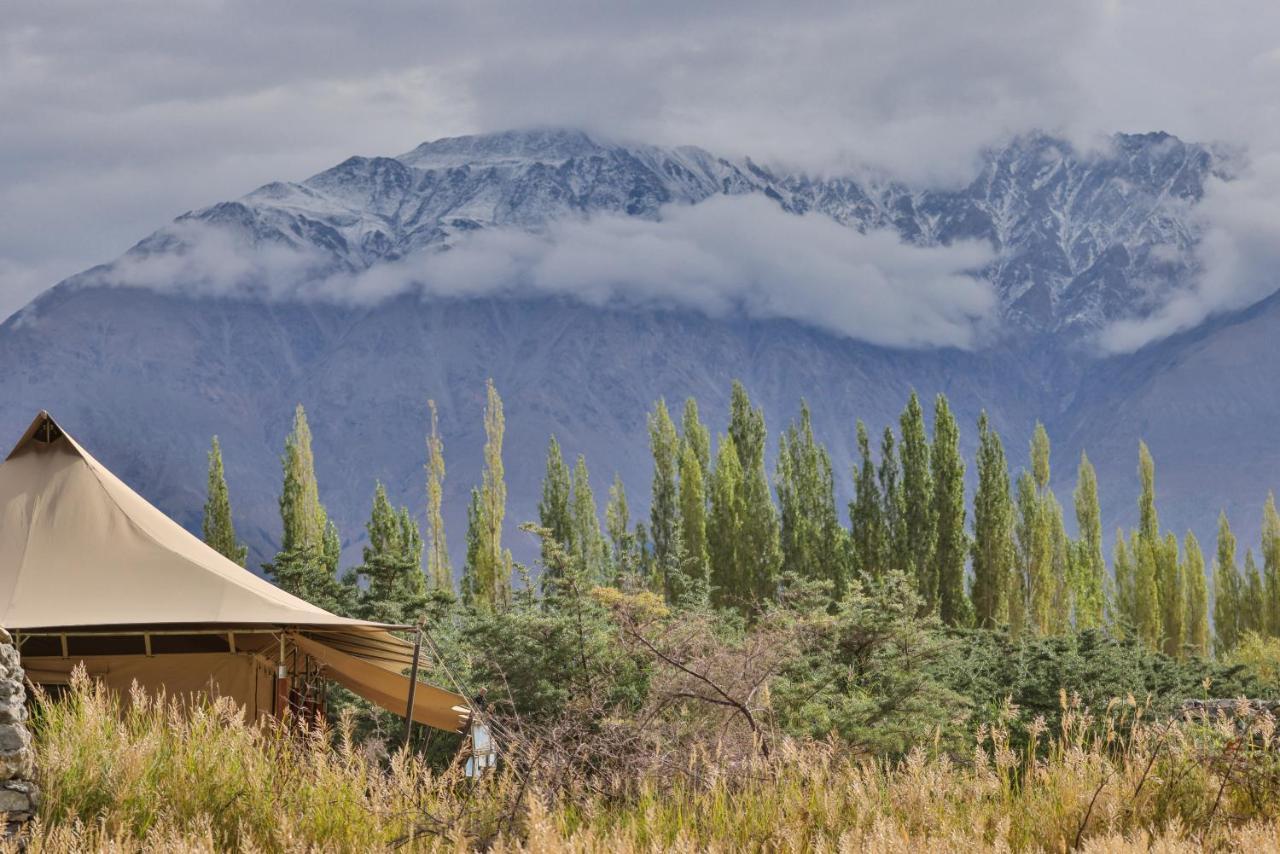 Chamba Camp Diskit นูบรา ภายนอก รูปภาพ